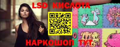 стаф Можга