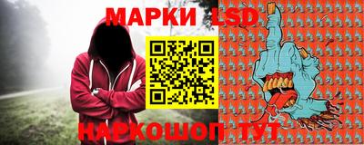 стаф Можга
