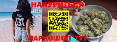 гидра Моздок