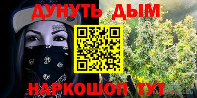 гидра Моздок