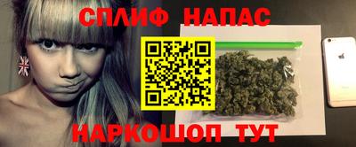стаф Можга