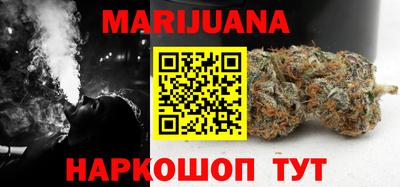 стаф Можга