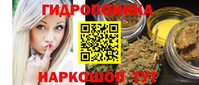 гидра Моздок