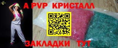 стаф Можга